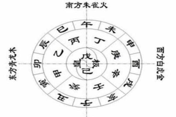 从天干地支看每个月的五行能量变化