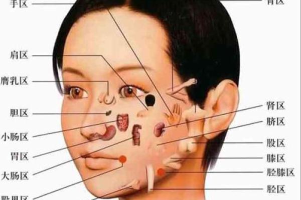 鼻梁长痣的女人面相解读：命运的标志与心理特征