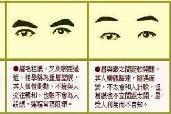 从风水角度看眉毛的形状与个人运势
