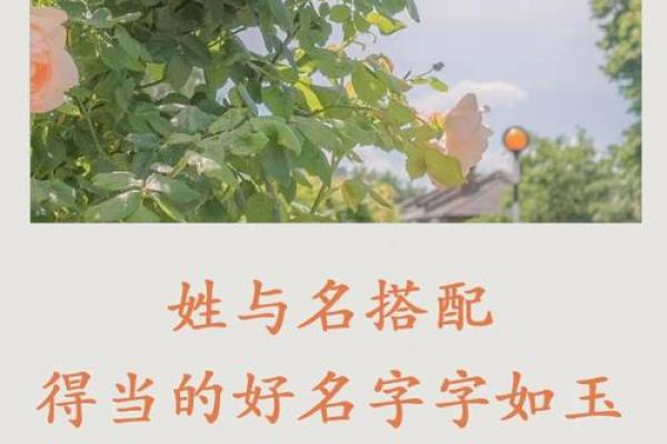 天字在名字中的象征意义与创意应用