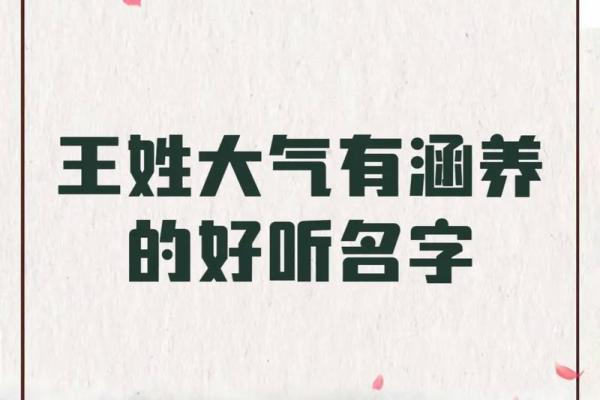 王姓孩子起名：从音韵到寓意的全方位考量