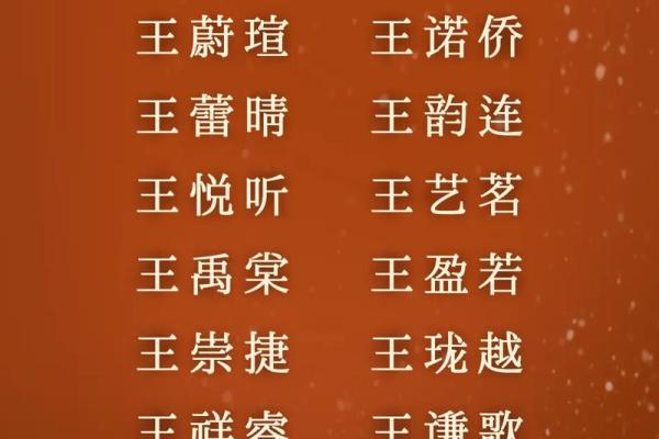 王姓孩子起名：从音韵到寓意的全方位考量