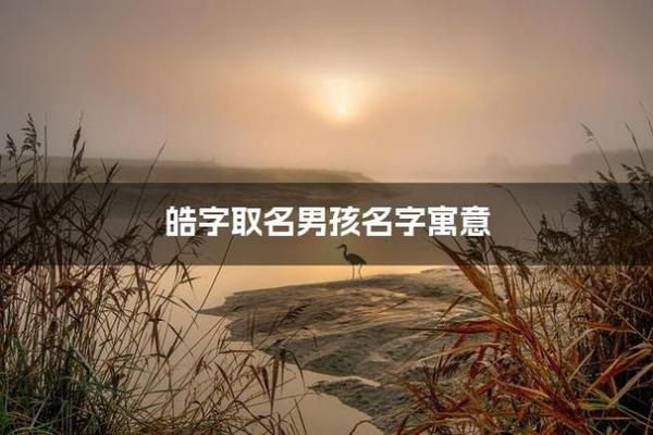 皓字在取名中的寓意与象征意义分析