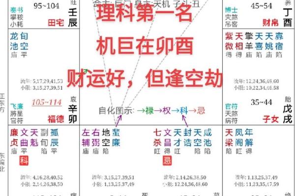 紫微斗数和八字命理哪个更能揭示命运真相