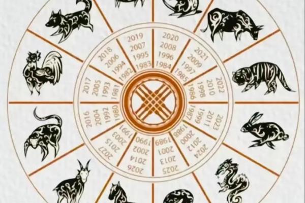 从十二地支看十二生肖与人的命运关系 从十二地支看十二生肖与人的命运关系