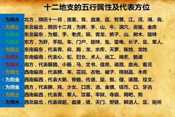 从猎人角度看十二地支的战略意义 从猎人角度看十二地支的战略意义