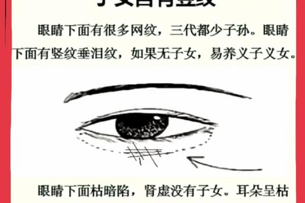 从鼻子看面相：性格与命运的隐秘密码