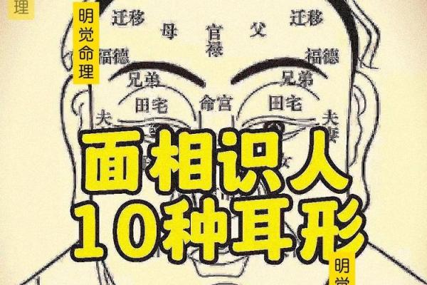 耳朵面相的秘密：揭示性格、财富与爱情的关联