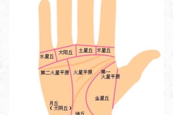 探索男人手相图解：如何通过掌纹预测人生走向