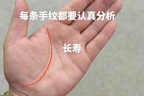 男性手相图解：从掌纹看出人生的关键趋势