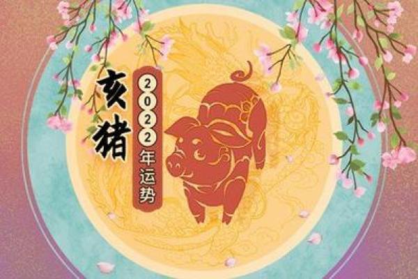 今日属猪人运势走势：财运与感情运有何变化