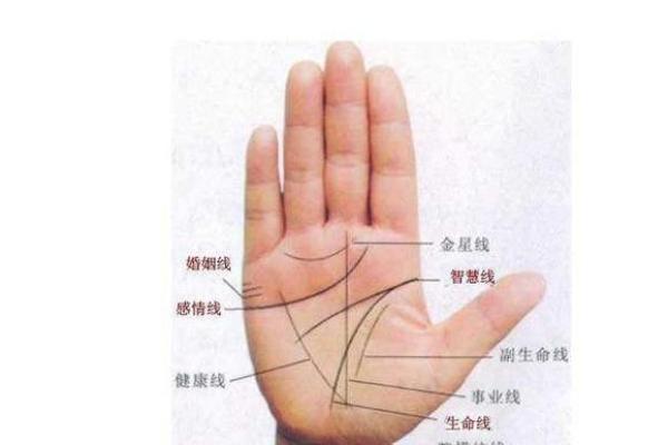 通过手相解读你的命运轨迹