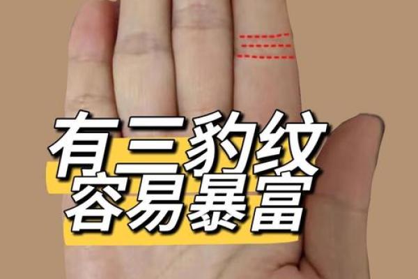 财运手相解析：通过手纹揭示财富运势的秘密