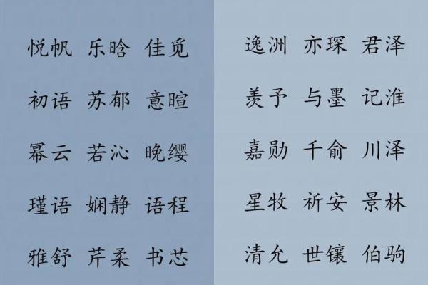 龙姓宝宝取名的最佳选择与技巧