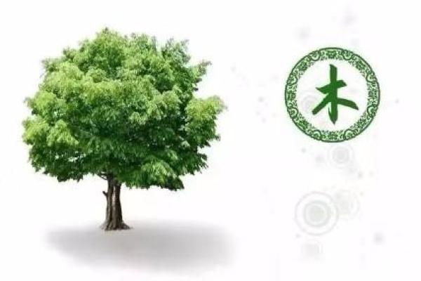 国字五行属性解析与文化背景探讨