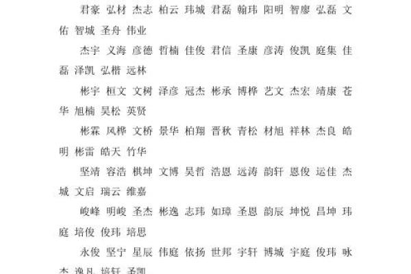 玮字在男孩名字中的文化象征与寓意