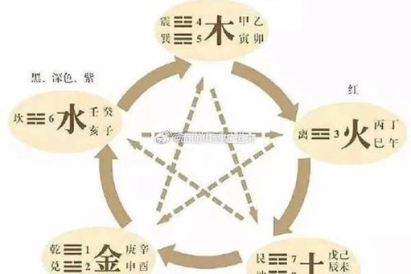 出生的人五行属什么解析