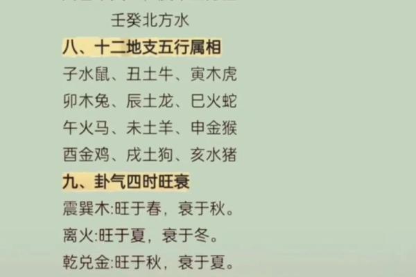 丙午年五行分析与命理解析