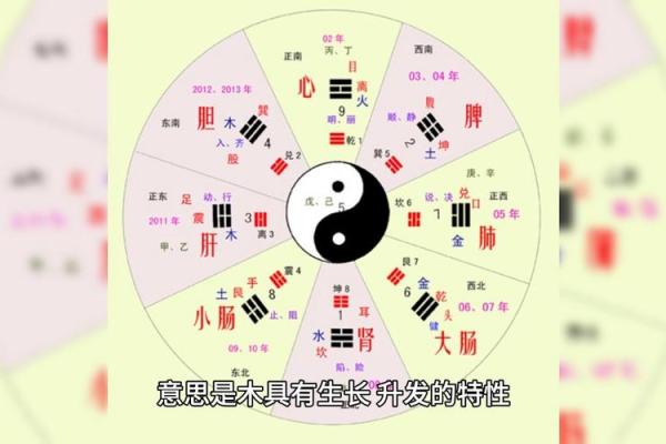 地支多合与命理中的五行调和关系解析