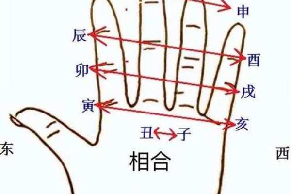 地支三亥的深层含义与命理解读 地支三亥的深层含义与命理解读