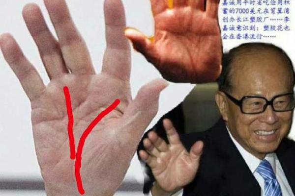 男士手相图解全解析：洞察人生各大关键节点