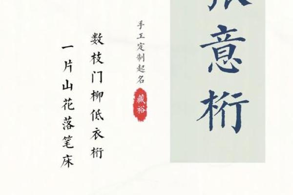张姓取名：从传统到现代的完美融合