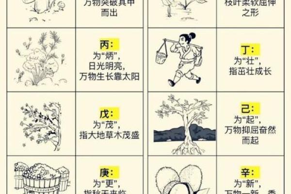 从天干地支看中国传统文化中的时间观