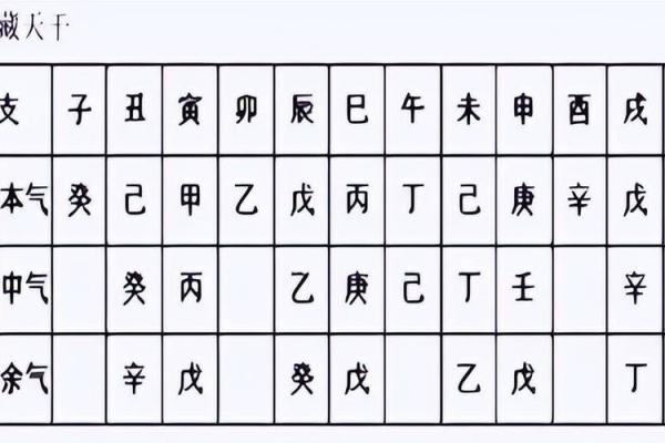 地支三会局的奥秘与命理解析 地支三会局的奥秘与命理解析
