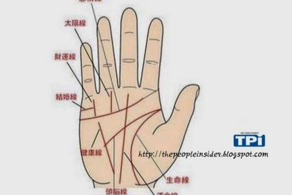 男手相图解与性格分析：揭示你的内在特质