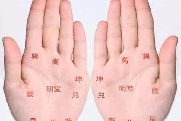 男手相图解与性格分析：揭示你的内在特质