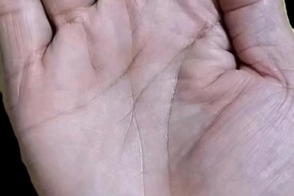 如何通过旺夫手相判断另一半的事业运