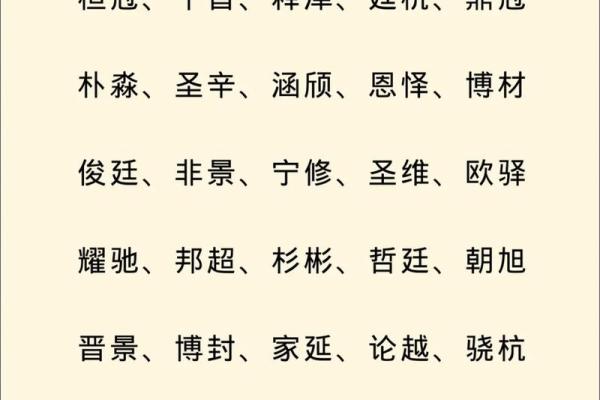 免费取名：如何轻松选择最合适的名字