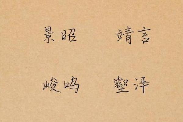 猴宝宝起名指南 幸福健康的名字灵感集合