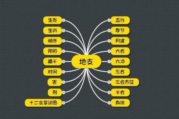 地支暗藏玄机:探索十二地支背后的神秘力量 地支暗藏玄机:探索十二地支背后的神秘力量
