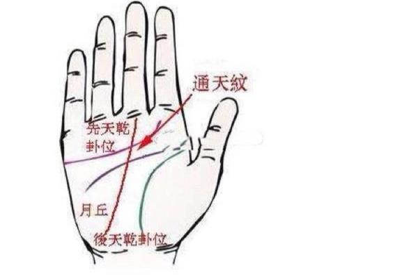 掌纹手相揭秘:如何通过手相了解自己的人生轨迹 掌纹手相揭秘:如何通过手相了解自己的人生轨迹