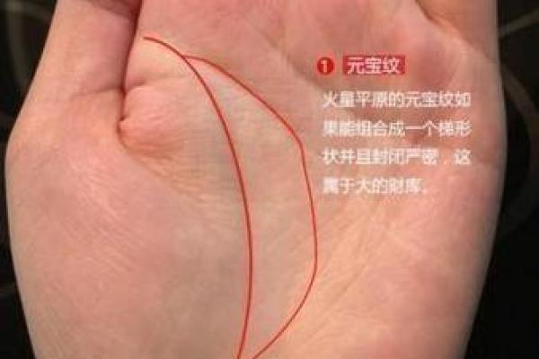 探索手相对子女影响的深层含义 探索手相对子女影响的深层含义