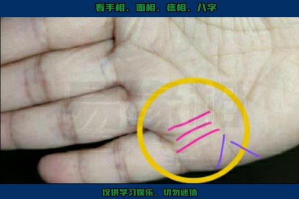 手相竖纹的秘密解读与命运关联分析 手相竖纹的秘密解读与命运关联分析
