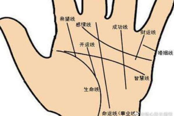 解读男人手相中的婚姻与感情线 解读男人手相中的婚姻与感情线