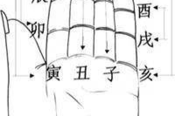 地支十二个怎么读?深入解析与记忆技巧 地支十二个怎么读?深入解析与记忆技巧