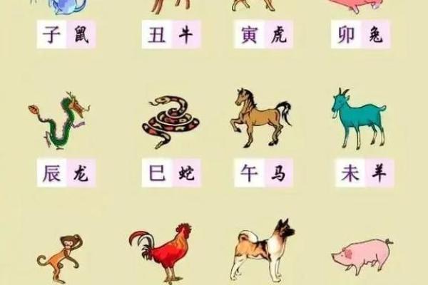 地支的读音与传统文化的深层联系解析 地支的读音与传统文化的深层联系解析