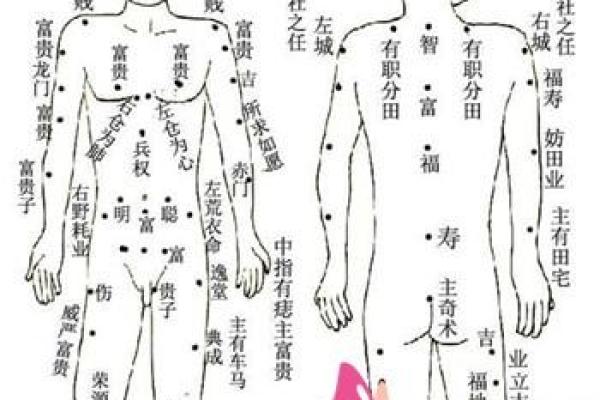 女臀部痣相解析：影响感情与事业的秘密