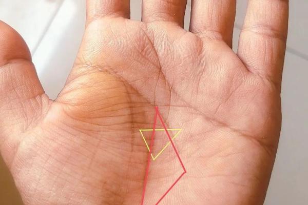 手相元宝纹揭秘:如何通过掌纹判断财运 手相元宝纹揭秘:如何通过掌纹判断财运