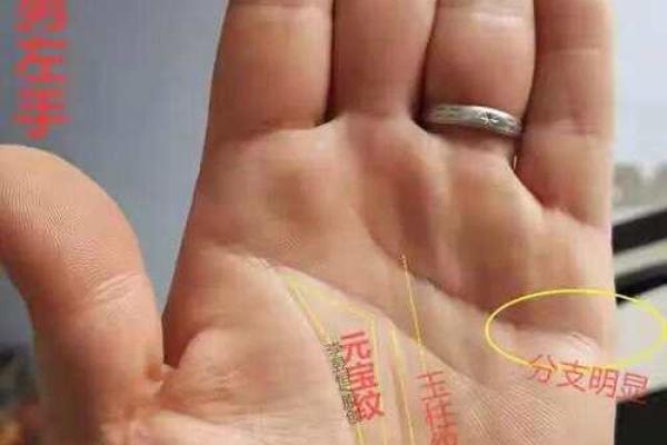 男人与女人的手相有何不同 男人与女人的手相有何不同