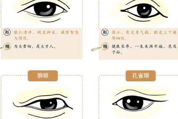 报恩胎儿孕妇面相解析：如何从面相看孕妇与胎儿的命运联系