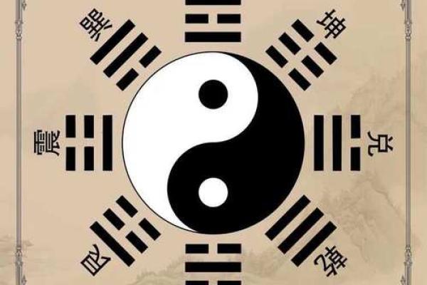 地支属性与生肖运势的深度关联 地支属性与生肖运势的深度关联