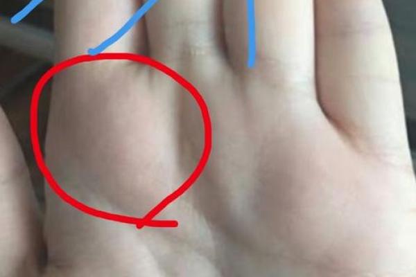 手相中的元宝纹:象征富贵与好运 手相中的元宝纹:象征富贵与好运