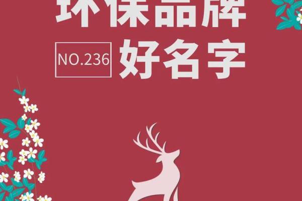 如何为集团公司起个响亮的名字，提升品牌影响力