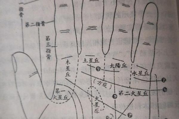 如何通过元宝手相解读财富与命运的奥秘 如何通过元宝手相解读财富与命运的奥秘