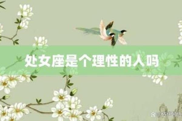 处女座本月运势：理性与感性并行，收获新机遇