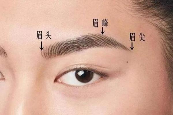 从眉毛看性格与运势：面相学中的眉毛解读技巧